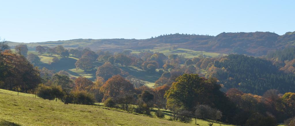 Pale Hall Llandderfel Kültér fotó